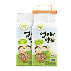 엄마밥줘 22곡 슈퍼푸드 혼합곡 + 핸들락, 5kg, 2개