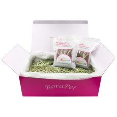 로라펫 울트라 프리미엄 티모시 1000g + 건강한 큰토끼용 사료 730g x 2p, 1세트