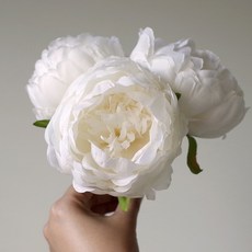 bdb1d587-46c3-4248-9ef1-982a2e10a5eb.jpg