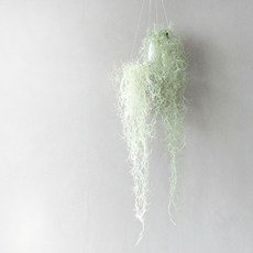 3301b3d9-27d5-4b8c-9466-24a32667684d.jpg