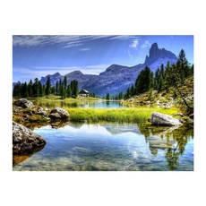 여름에하는키트