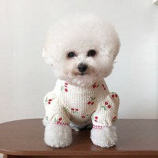 강아지 앵두 티셔츠, 아이보리