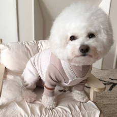 6888c16b-dcd6-4e92-8098-a8954a724cb5.jpg