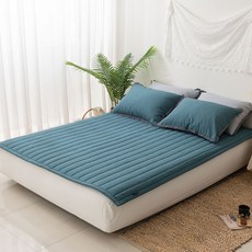 피그먼트카페트