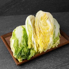 농협 수안보 남한강김치 절임배추, 10kg