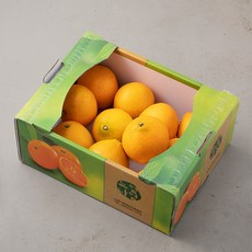 느영나영 무농약 인증 제주 황금향, 2.7kg, 1개