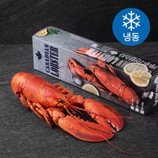 케네디언 자숙랍스터 (냉동), 400g, 1개