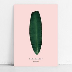 봄날프로젝트 식물 캔버스 포스터 바나나잎