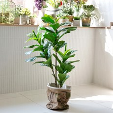 포플랜트 인조 조화나무 떡갈나무 100cm, 혼합색상, 1개