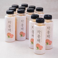 자몽해 자몽주스, 330ml, 12개