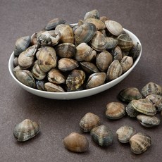 단디프레시 황도 참바지락, 2.5kg, 1개