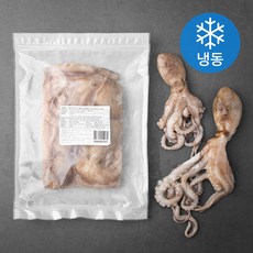 서풍앤쿡 살아 있을때 급냉동한 낙지 2~3마리 (냉동), 850g, 1개