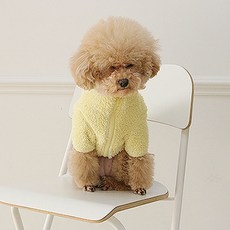 강아지뽀글이-추천-상품