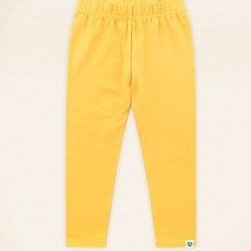 몰리멜리반타이즈