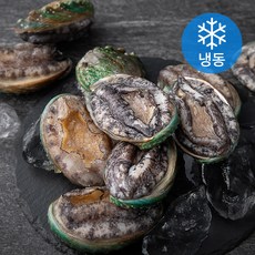 갓잡아얼린 국산전복 17~19미, 1kg, 1개