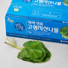 태백농협 GAP 인증 고랭지 곰취나물, 1kg, 1박스