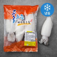 웰푸드 갑오징어 내장제거 특대 (냉동), 1kg, 1개
