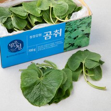 청정강원 곰취, 700g, 1세트