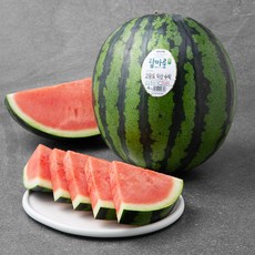 탑마루 GAP 인증 익산 고당도 수박, 4kg, 1개
