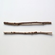 아이엠블룸 인테리어 소품 자작나무 가지 100cm 2p, 혼합색상