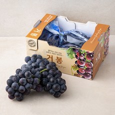 가족 GAP 인증 경산 거봉, 1.5kg, 1박스