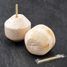 올프레쉬 베이직 코코넛 2입, 1.5kg, 1개