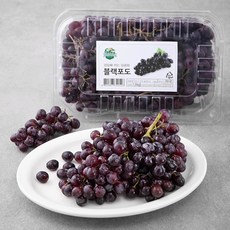 만나 미국 블랙포도, 1.8kg, 1개