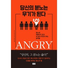 당신의 분노는 무기가 된다:분노에 휘둘리지 않고 내 삶의 주인이 되는 원칙들, 해냄출판사, 안도슌스케