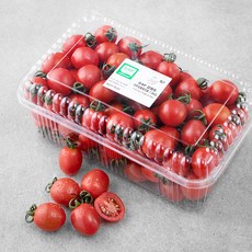 ONLYFARM 강원도 GAP 인증 대추방울토마토, 1.5kg, 1개