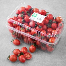 ONLYFARM 강원도 GAP 인증 대추방울토마토, 2kg, 1개