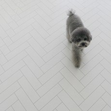 티지오매트