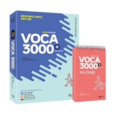 이동기voca3000