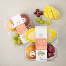 후르츠콕 커플세트 5호, 1.5kg, 1세트