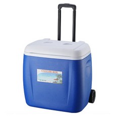 랜더스아이스박스