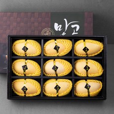 더달 태국망고 선물세트 9개입, 1세트