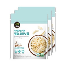 올바이오 바삭한 유기농 발효 코코넛칩, 40g, 3개