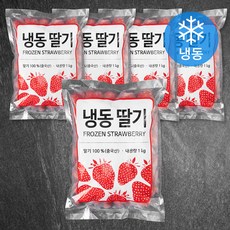 중국산 냉동딸기 (냉동), 1kg, 5개