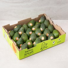 Dole 뉴질랜드산 아보카도, 5.5kg, 1개