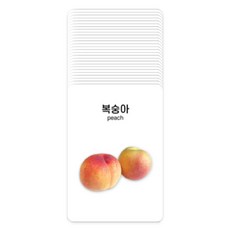 색깔카드