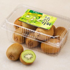올바른과일 그린 키위, 1kg(8~9입), 1개