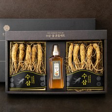 몸에조화 믹사 수삼 200g x 2개입 + 사양벌꿀 500g 기획 혼합 선물세트, 1세트