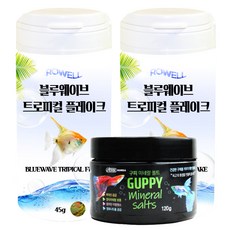 로웰 블루웨이브 트로피컬 플레이크 열대어사료 45g x 2p + 미네랄 솔트 120g 세트, 1세트