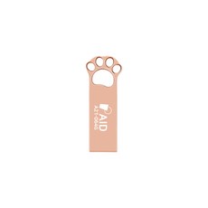 AID USB 2.0 A21 로즈골드, 64GB
