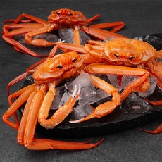 해선생 포항시 인증 구룡포 직송 붉은대게, 900g(3미), 1개