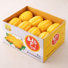 성주벽진농협 저탄소인증 참외, 5kg, 1박스