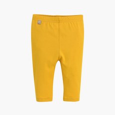 모이몰른레깅스