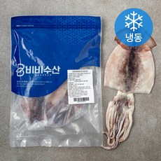 참바다손질오징어