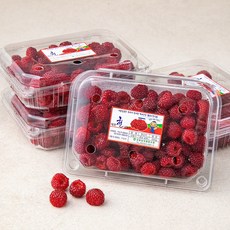 산지직송 상동농업협동조합 대포천 김해 산딸기, 250g, 4팩