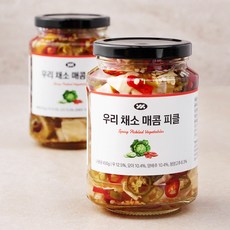 우리 채소 매콤 피클, 450g, 2개