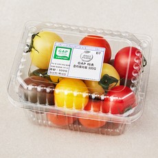 온리팜 GAP 인증 마초칼라 토마토, 500g, 1개